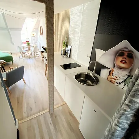 Duplex Lumineux, Colore, Atypique Face Cathedrale Saint-Brieuc